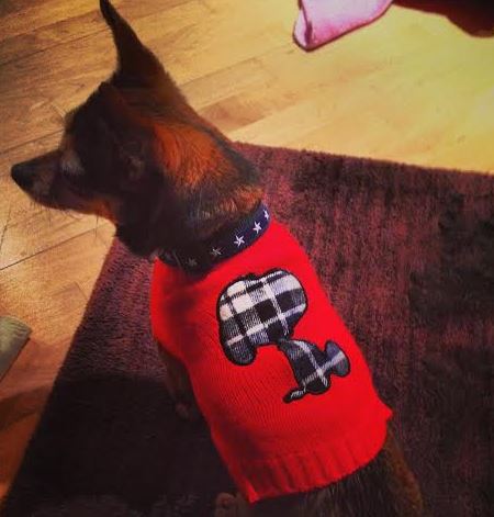 snoopy dog sweater